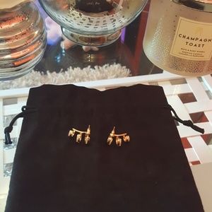 Stella & Dot earrings